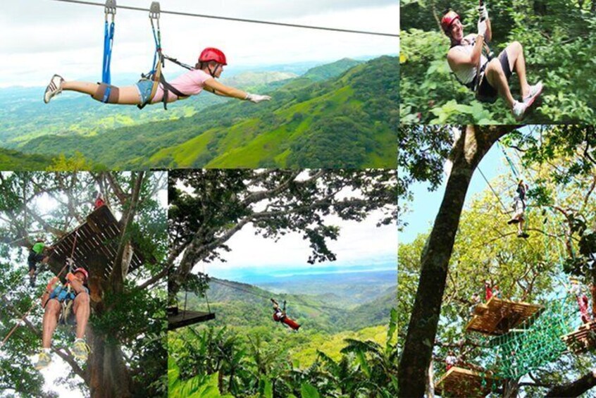 A person zip-lining through a forest, another person swinging on a rope, and a third person climbing a tree. 1