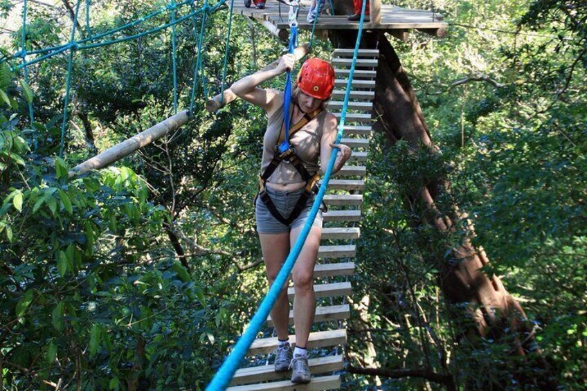 A person navigating a rope bridge in a forested area. 3