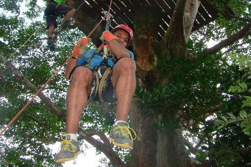 A person suspended in a tree, wearing a helmet and harness, with ropes and safety gear. 4