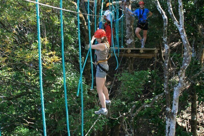 A person on a rope course in a forested area. 2