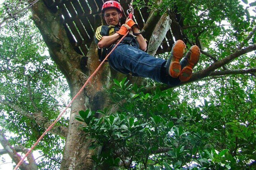 A person on a tree branch, wearing a helmet and harness, with a rope for safety. 5