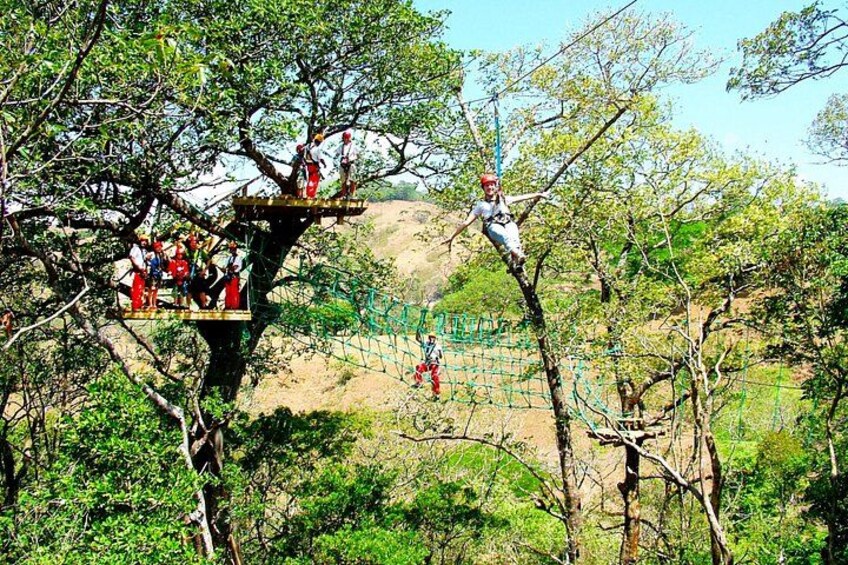 People on a tree platform, a rope bridge, and a forested landscape. 2
