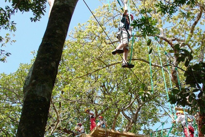 A person zip-lining through a forest. 3