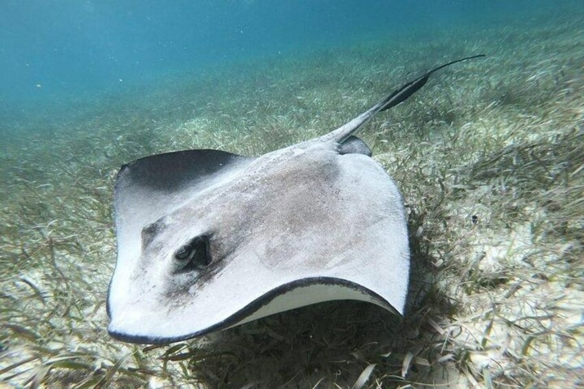 Second largest Barrier Reef Adventure 2