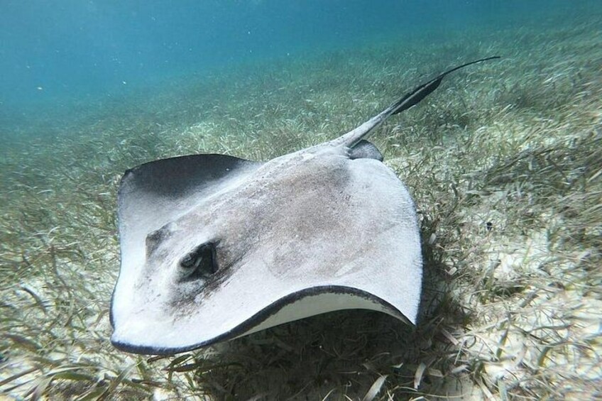 Second largest Barrier Reef Adventure 2