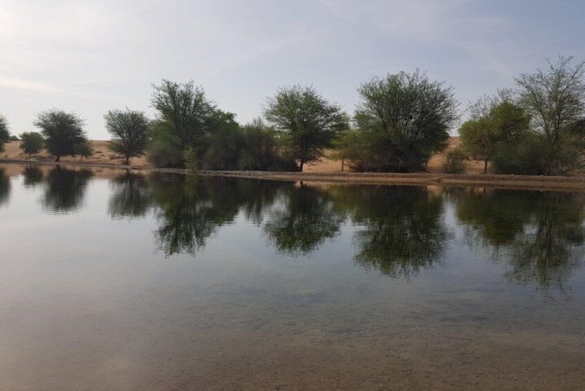 Ein ruhiger Fluss mit Spiegelungen von Bäumen und blauem Himmel. 5
