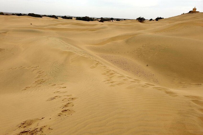 Jaisalmer One Day Sightseeing Tour 1