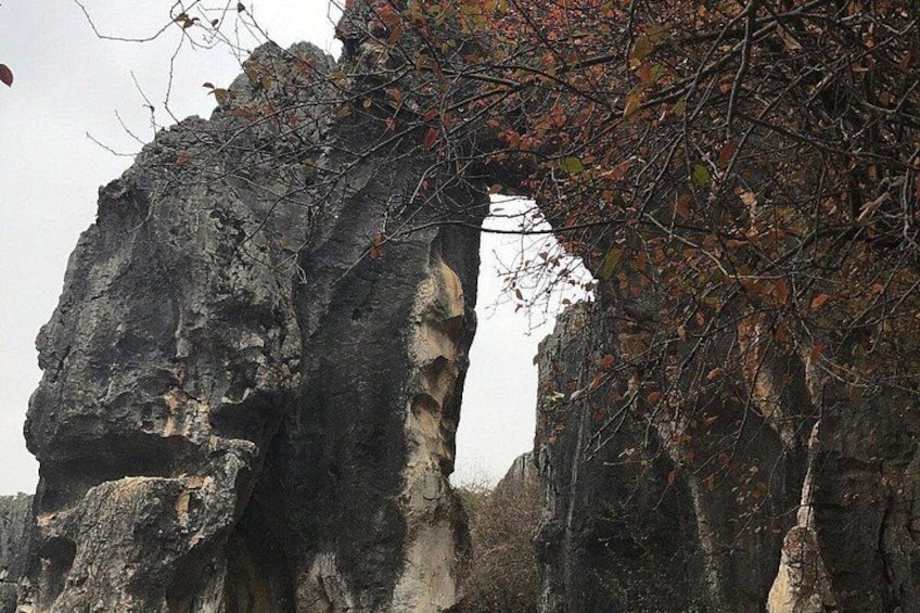 1 Day Stone Forest & Jiuxiang Cave Tour 1