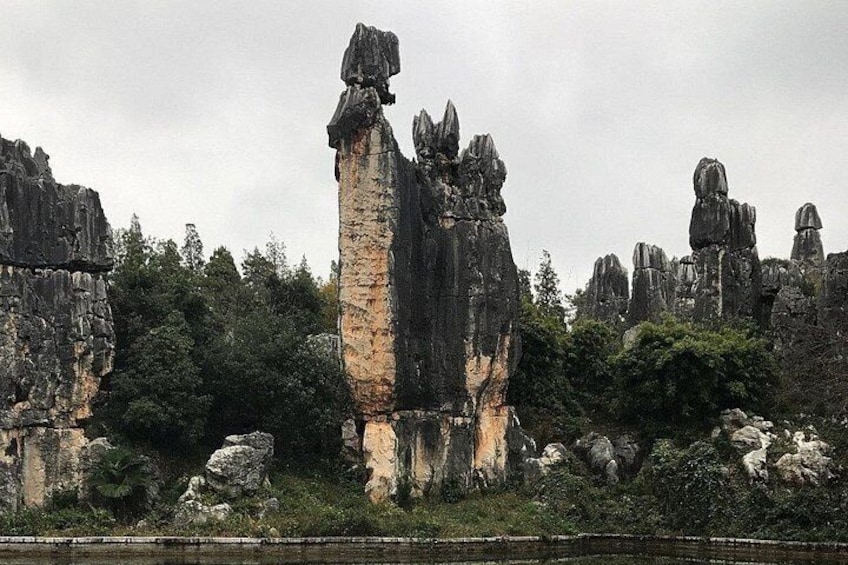1 Day Stone Forest & Jiuxiang Cave Tour 4