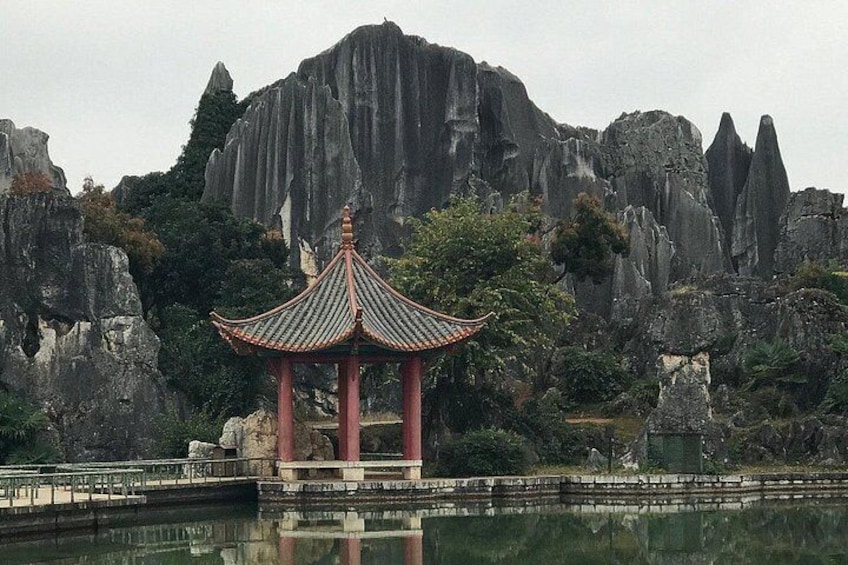 1 Day Stone Forest & Jiuxiang Cave Tour 3
