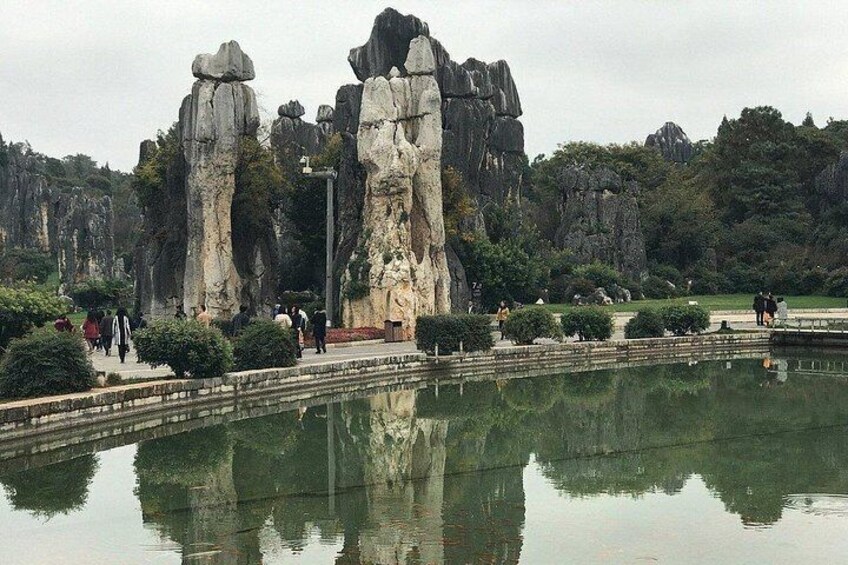 1 Day Stone Forest & Jiuxiang Cave Tour 2