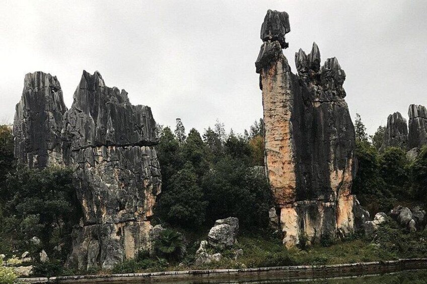1 Day Stone Forest & Jiuxiang Cave Tour 5