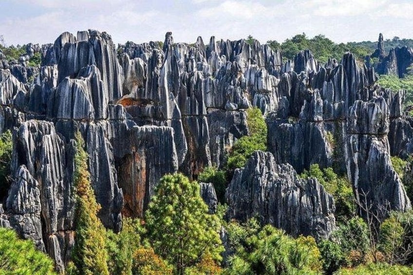 A landscape of tall, jagged rock formations with dense green foliage in the foreground. 1