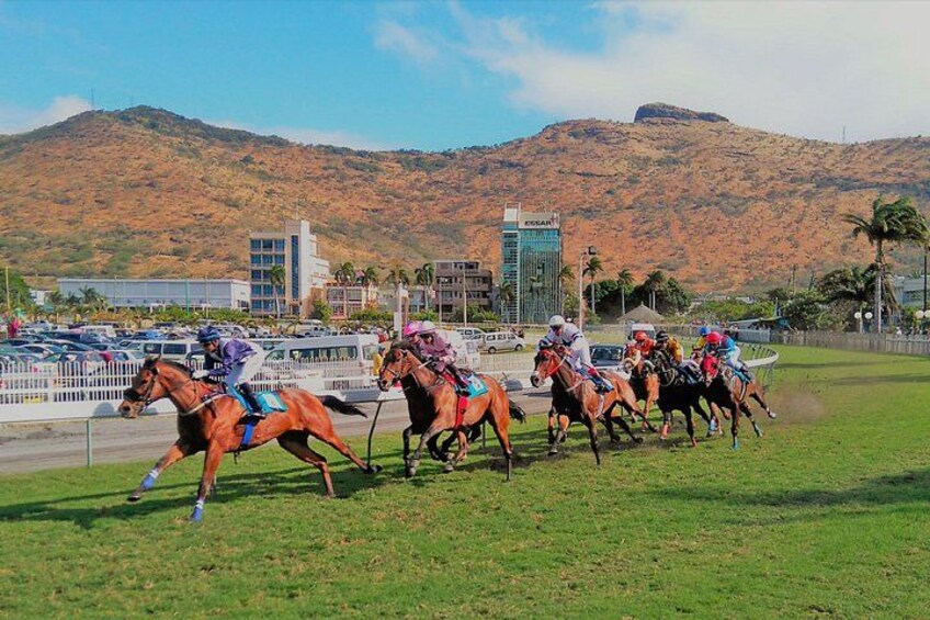 Una carrera de caballos con jinetes, una pista y un paisaje montañoso de fondo. 4