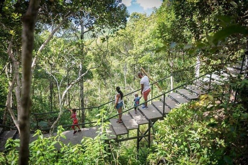 A wooden bridge in a forested area with people walking on it. 5
