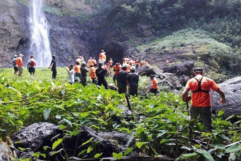 A group of people in orange vests gathered around a waterfall in a lush, green forest. 4