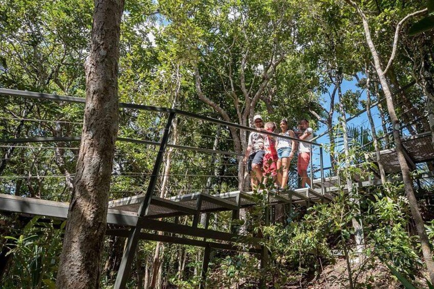 A group of people on a wooden bridge in a forested area. 3