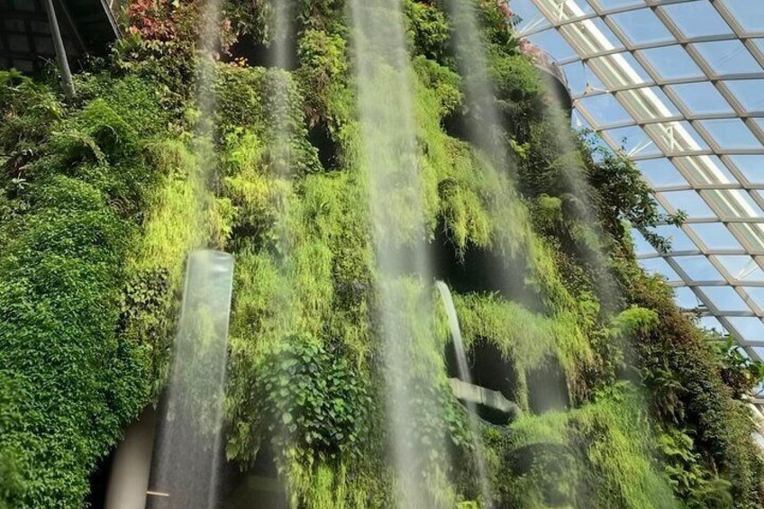 Cloud Forest at Garden by the Bay