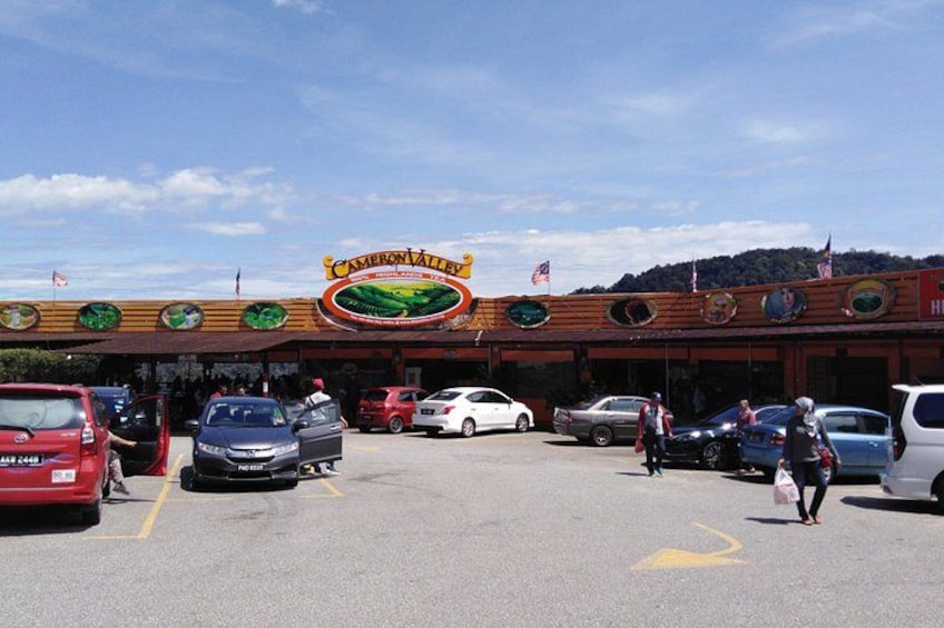 Cameron Highlands Day Trip From Kuala Lumpur 2