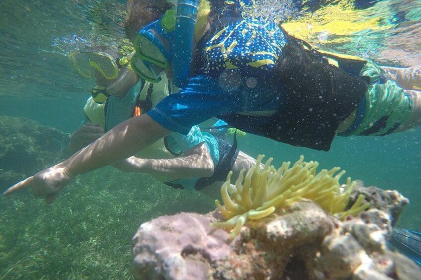 Snorkeling & Kayak Mini Eco-Adventure 4