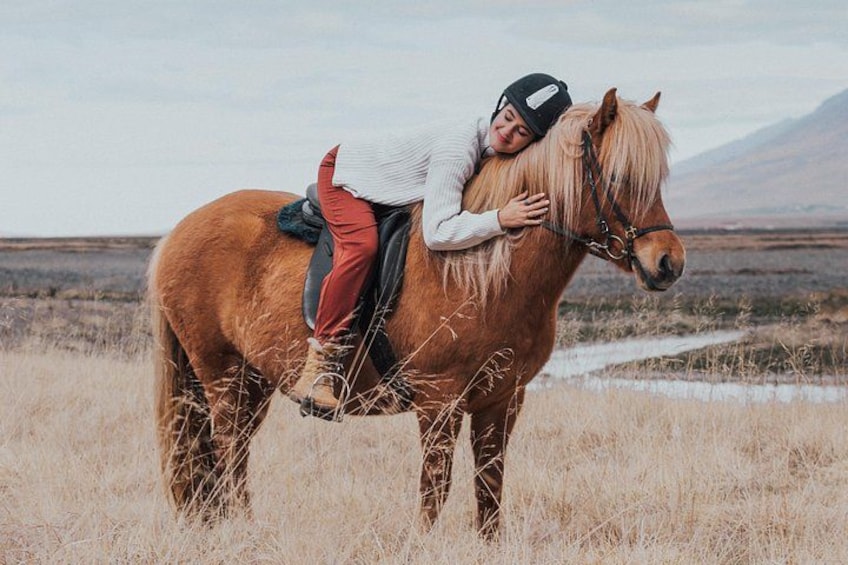 The Viking Horse Riding Experience in North Iceland 4