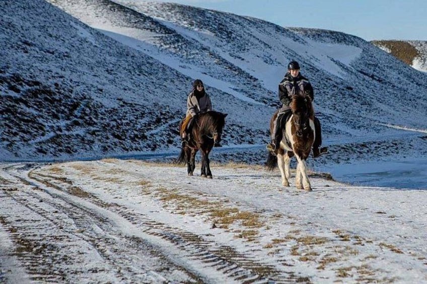 The Viking Horse Riding Experience in North Iceland 3