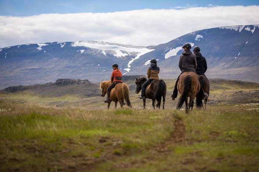 A group of people riding horses across a grassy field with mountains in the background. 2