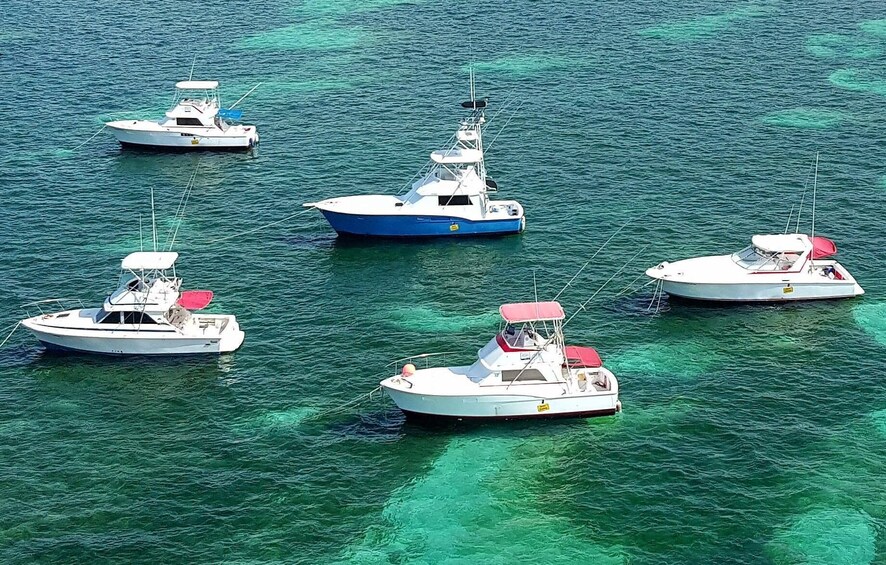 Un grupo de barcos anclados en aguas turquesas transparentes. 1