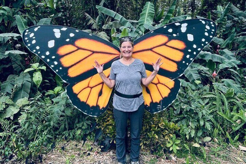 A person standing in front of a large butterfly wing display. 2