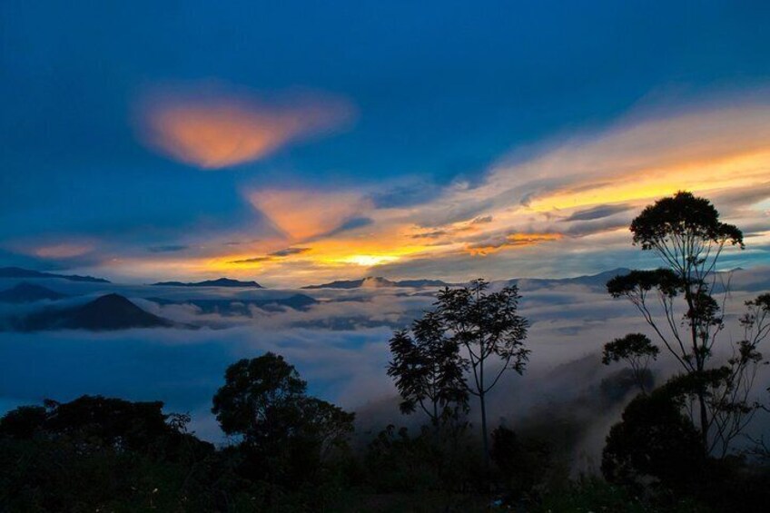 A sunset over a mountainous landscape with trees silhouetted against the sky. 1