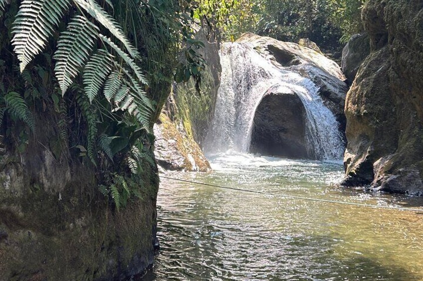 A waterfall in a forested area with a cave-like structure. 5