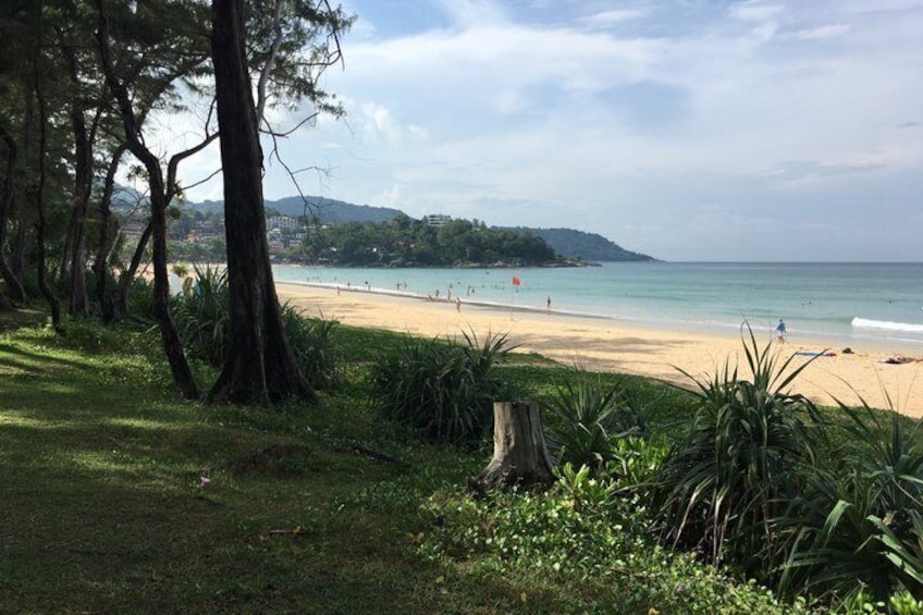 Una spiaggia con alberi, una zona erbosa e una costa in lontananza. 4