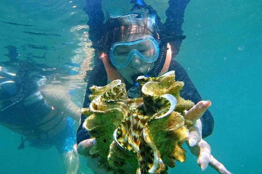 A person underwater holding a large clamshell. 5