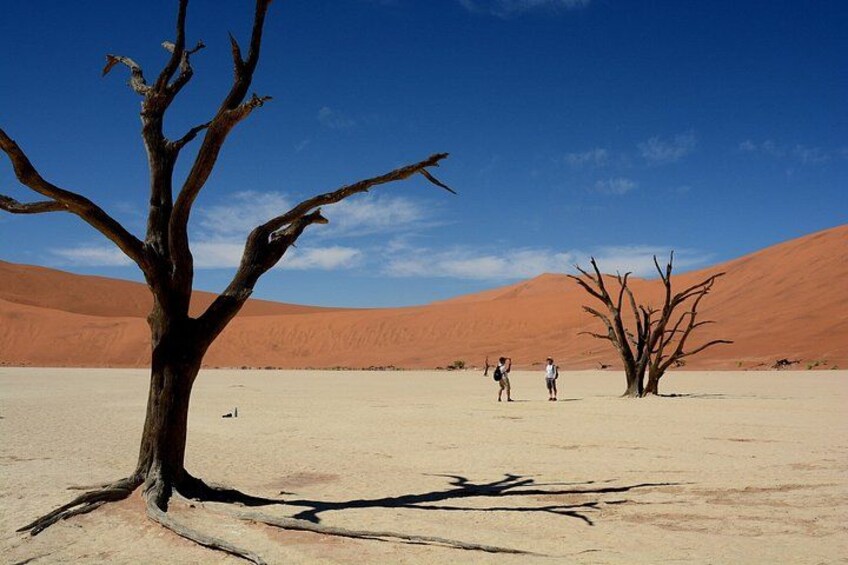 Un paysage désertique avec un arbre mort bien visible, deux personnes debout au loin et un ciel bleu dégagé. 3