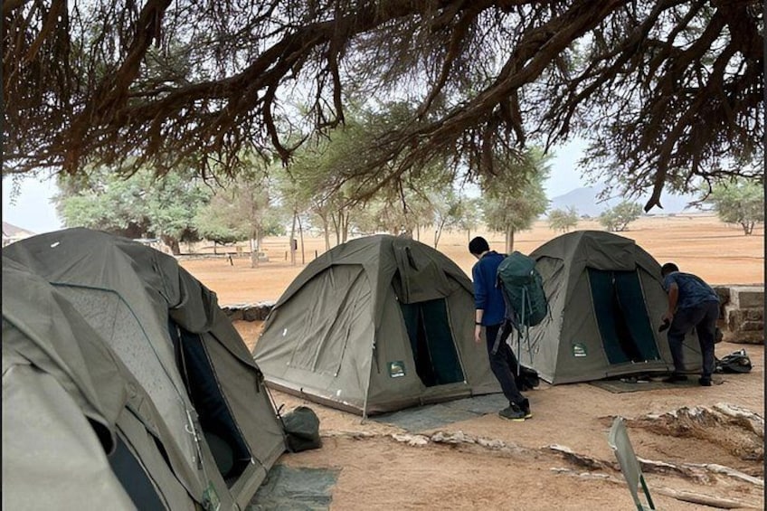 Three tents set up in a dry, open area with sparse trees in the background. 2