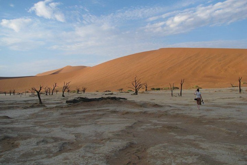 A desert landscape with sand dunes and sparse vegetation. 5