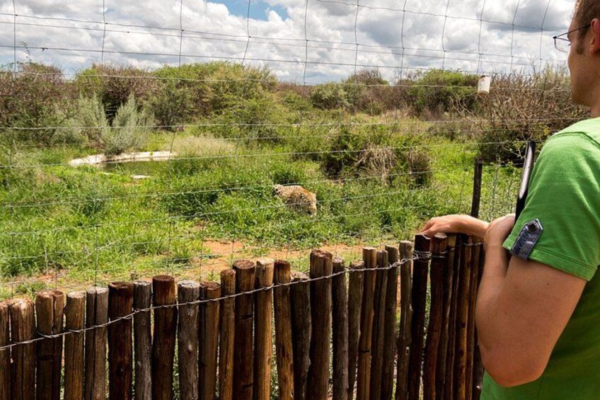 A person standing behind a wooden fence with barbed wire, overlooking a grassy area with sparse vegetation and a clear sky. 3