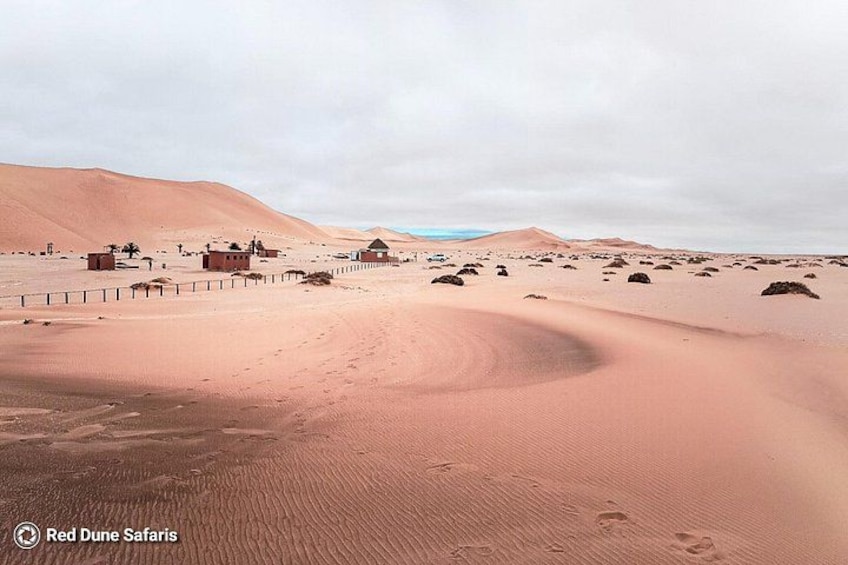 Paesaggio desertico con dune di sabbia, alcuni piccoli edifici e un cielo azzurro in lontananza. 4