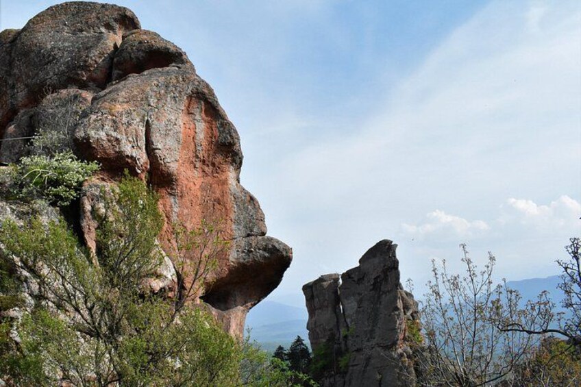 A large rock formation with a smaller rock protruding from the base, surrounded by sparse vegetation. 2