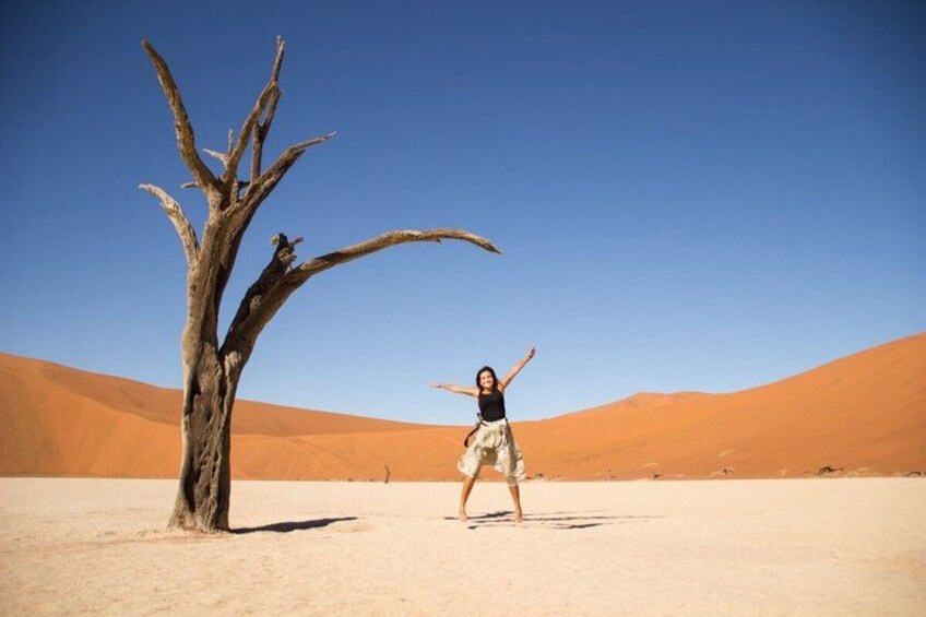 A person standing in a desert with sand dunes and a dead tree. 2