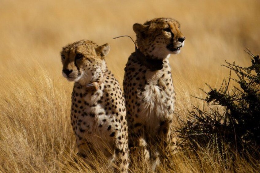 3-Day Sossusvlei Express Accommodated Safari from Swakopmund 4