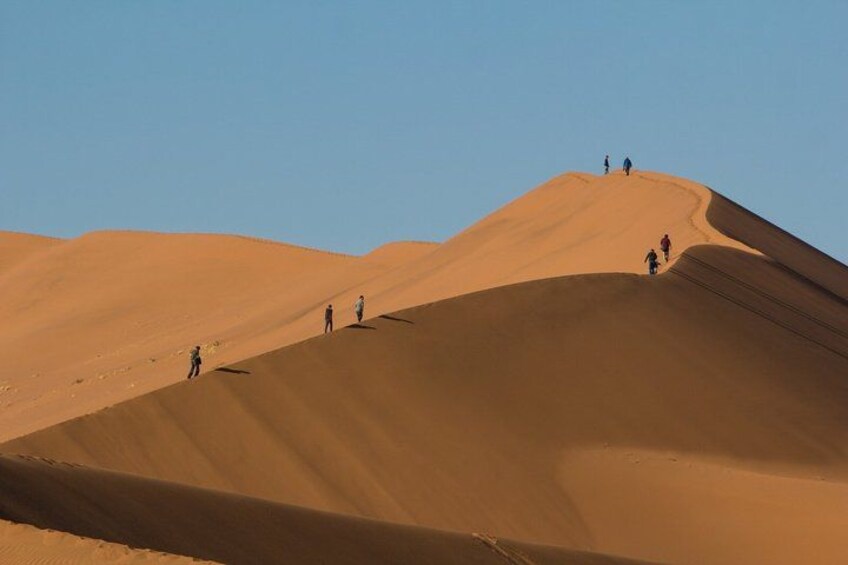 3-Day Sossusvlei Express Accommodated Safari from Swakopmund 4