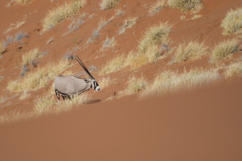 3-Day Sossusvlei Express Accommodated Safari from Swakopmund 2