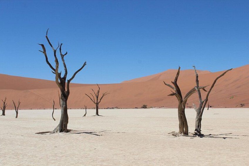 3-Day Sossusvlei Express Accommodated Safari from Swakopmund 3