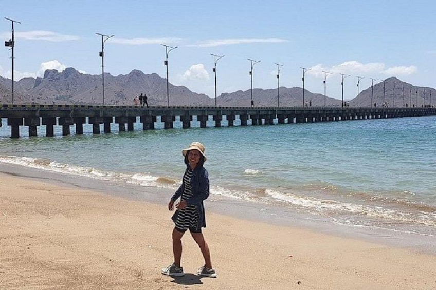 Una playa con un muelle que se adentra en el agua, montañas al fondo y una persona de pie sobre la arena. 5