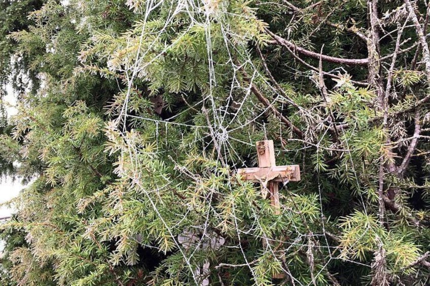 Sunrise at the Hill of Crosses - 2 countries in 1 day 5