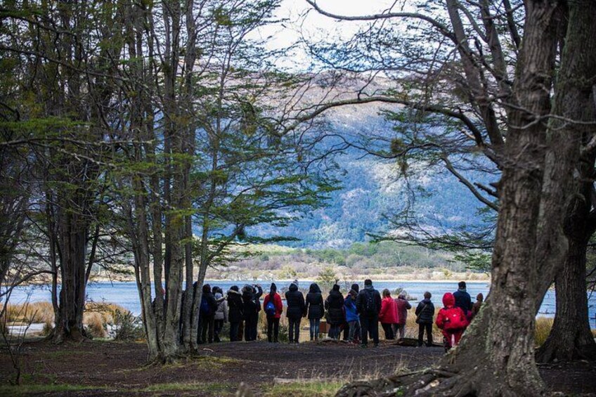 A group of people standing in a line on a path surrounded by trees, overlooking a body of water and hills in the background. 4