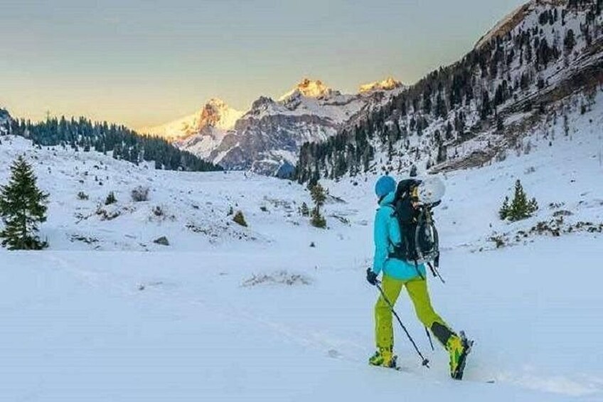 MANALI PACKAGE (3 Nights /4 Days) 2