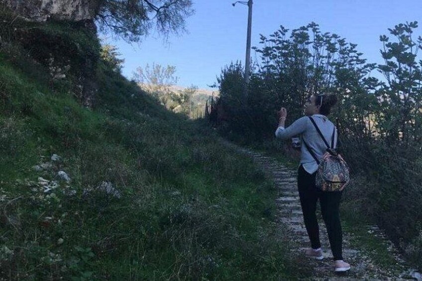 A person walking on a narrow path surrounded by greenery. 4