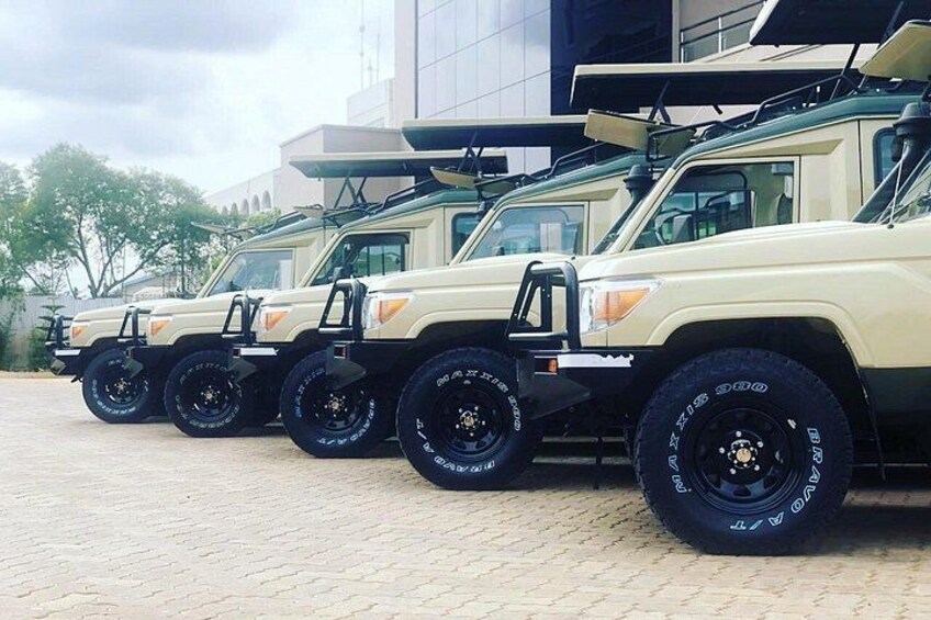 Four off-road vehicles parked in a row. 4
